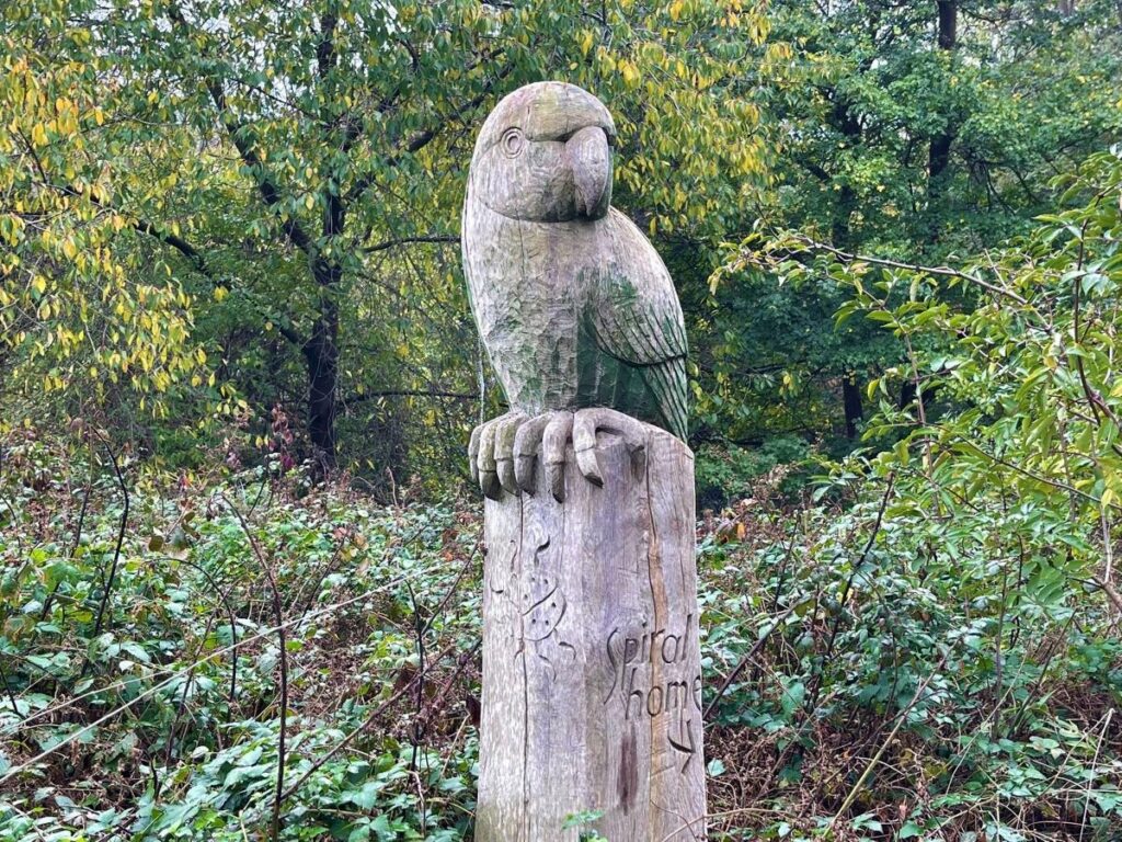 Photo of wooden sculpture of parakeet with an arrow pointing towards the woods